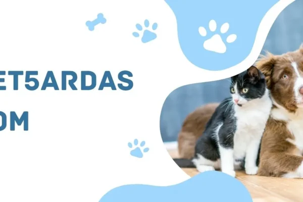 Pet5ardas com: A Comprehensive Guide to an Emerging Digital Platform