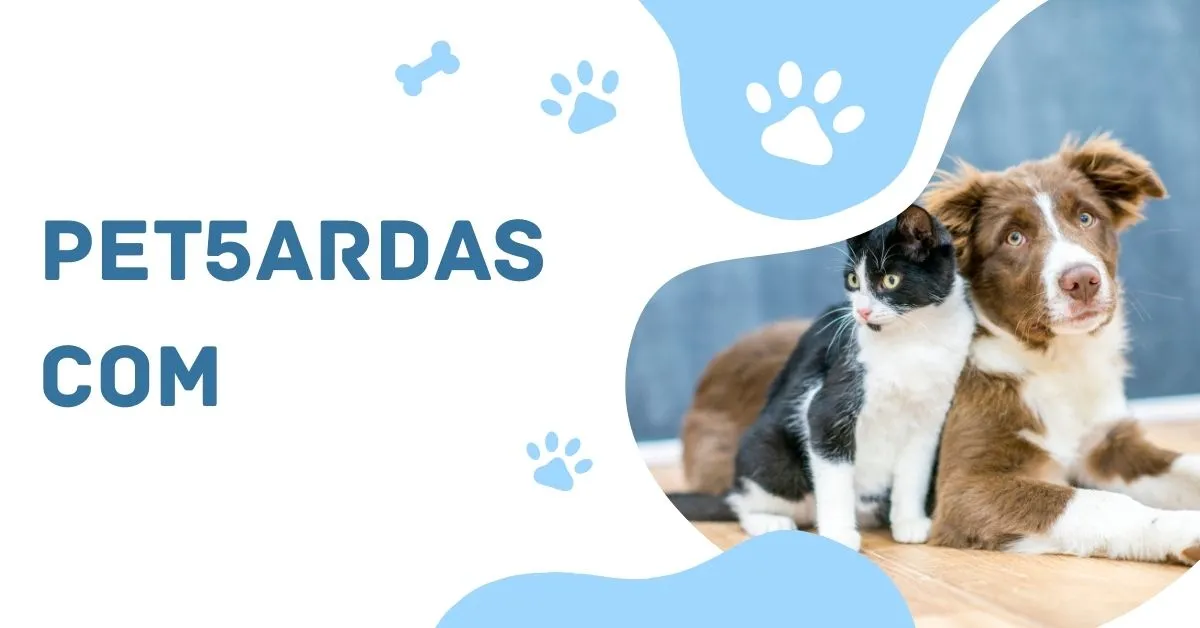 Pet5ardas com: A Comprehensive Guide to an Emerging Digital Platform